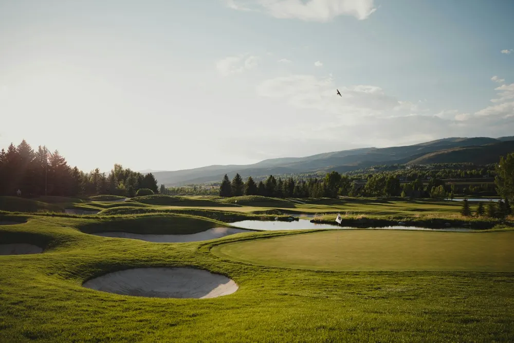 Golf fairway lined with trees