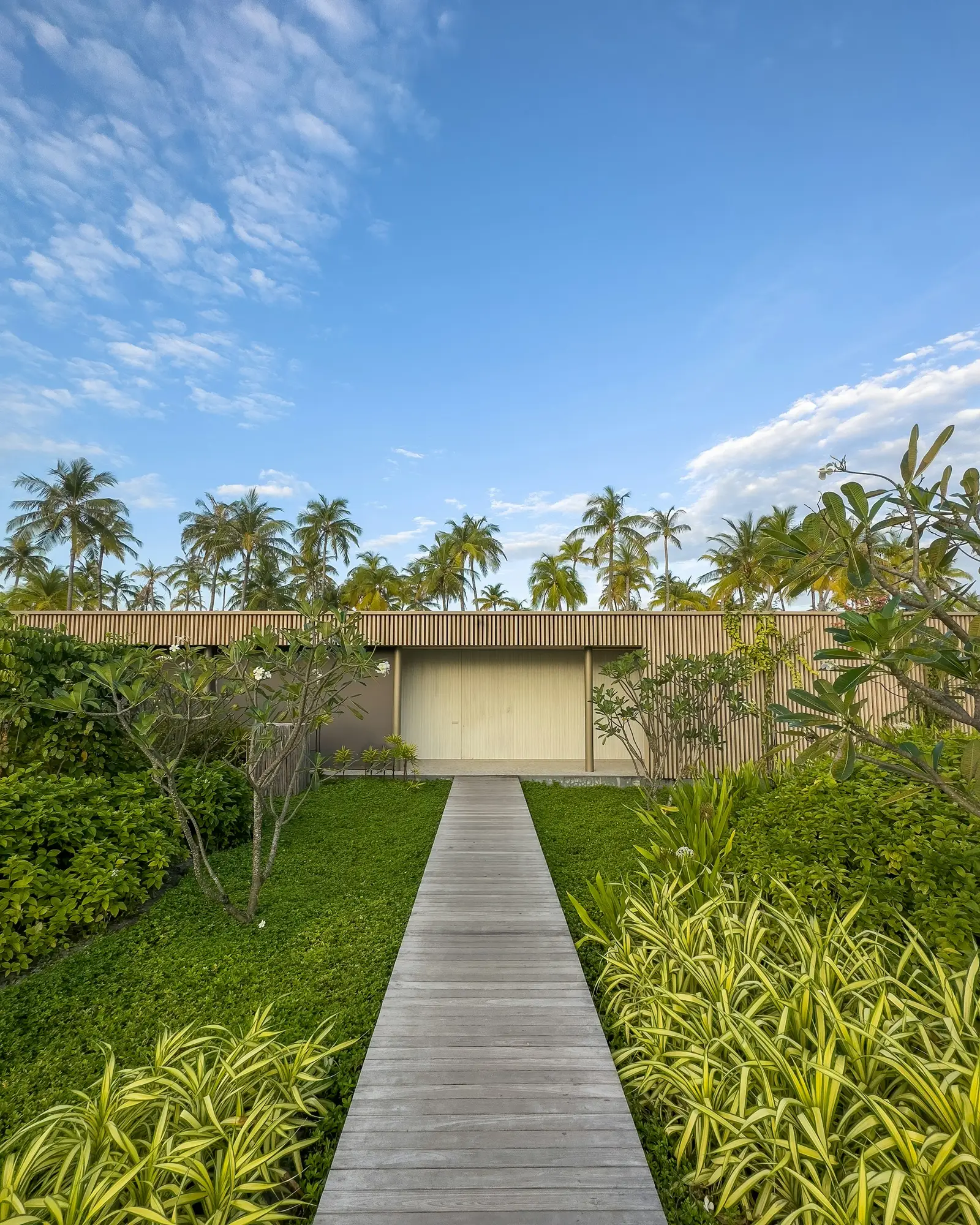 Garden walkway lined with palm trees and greenery