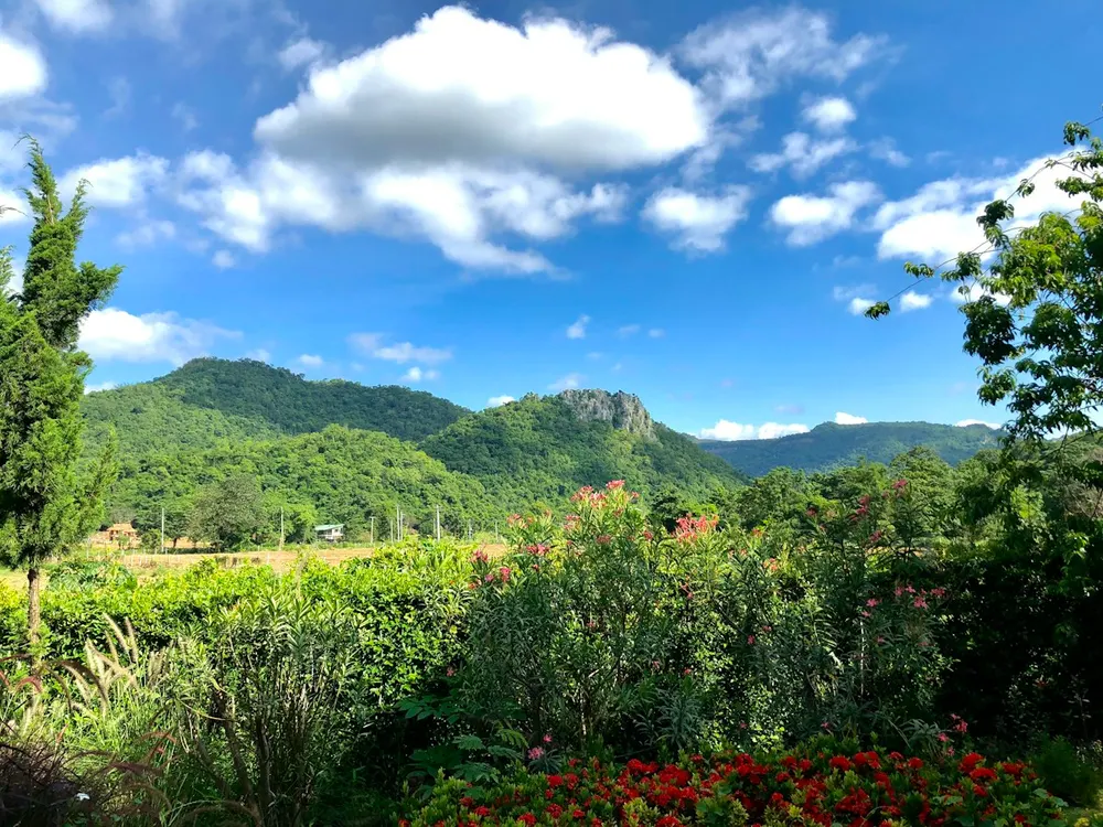 Forested hills under a blue sky
