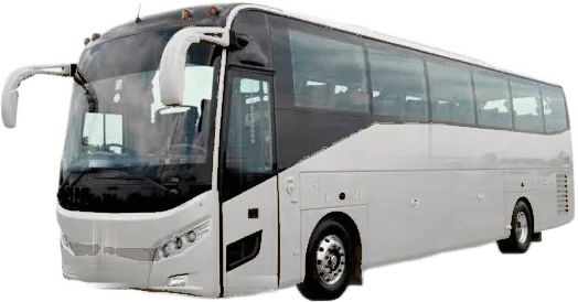 Bus: Coach